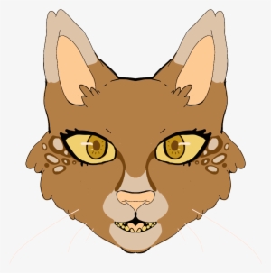 Recent Images - Abyssinian #800850 Recent Images - Abyssinian #800850