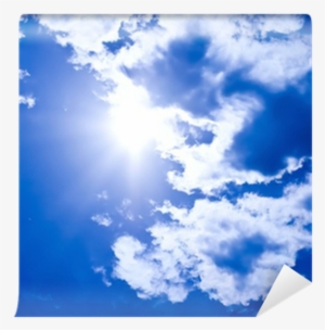 Stock Photography #800851
