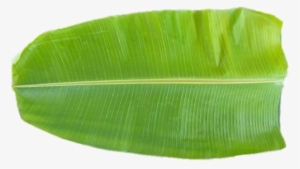 View Our Lunch Menu - Banana Leaf Food Png #802130