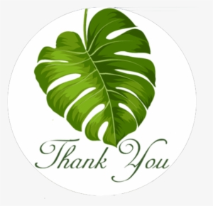 Banana Leaves Smilemail Perfect Package Kit - Symphonic Concert 2002 With Tokyo City Philharmoni #802338