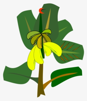 Banana Leaf Drawing Cartoon - Clipart Cartoon Banana Tree #802451