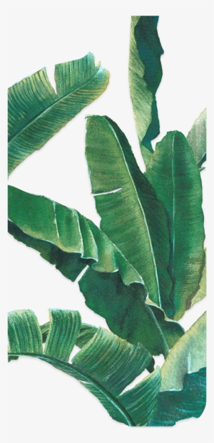 Backplate 3pb0100126l B047 V=1511158487 - Apple Iphone 8 #802683