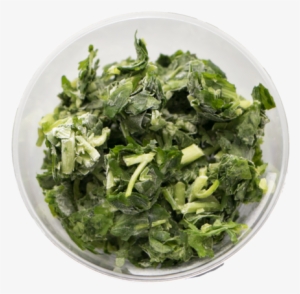Cilantro / Coriander - Coriander #803043