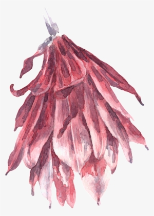 Hand Painted Tea Dried Flowers Png Transparent - Tea #803258