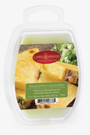 No Image Available For - Candle Warmers Pineapple Cilantro Candle Warmer 4 Oz #803569