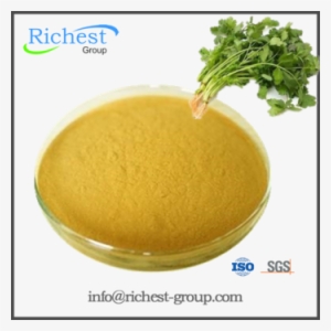 Foctory Supply 100% Pure High Quality Cilantro Leaf - Large Leaf Cilantro (200 Seeds) #804152