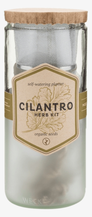 Self-watering Herb Kit - Modern Sprout Eco Planter Mint #804214