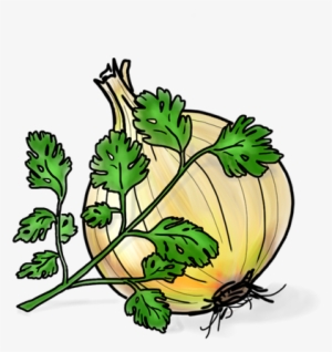 Cilantro & Roasted Onion - Cartoon Cilantro #804283
