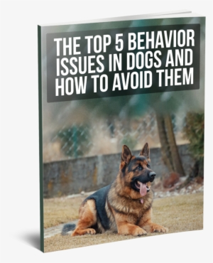 3d - 3d Computer Graphics #804344