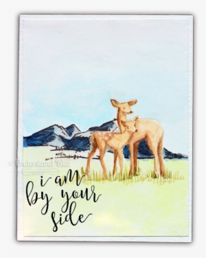 The Watercolor Is My Koi Travel Set - Concord And 9th By Your Side Stamps #804393