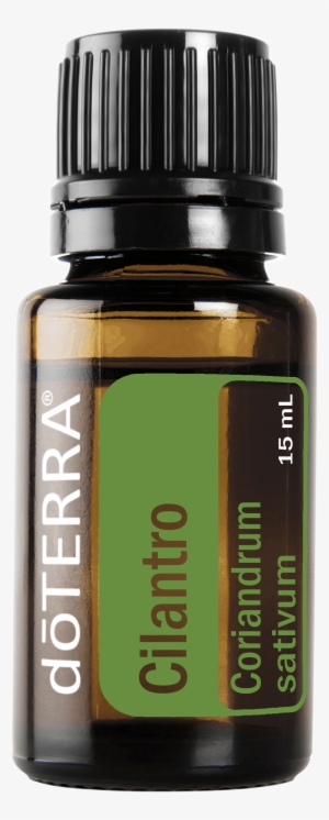 Cilantro-15ml #804412