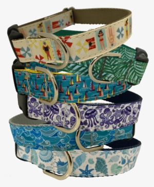 Shop Collars & Leashes - Belt #804507