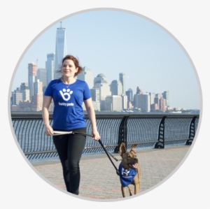 Attend A Walker Onboarding In Your City To Meet Other - Dog Walking #804551