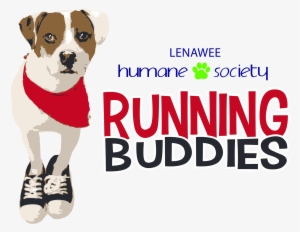 Our Athletic Canines Need A Running Buddy, And We Hear - Companion Dog #804623