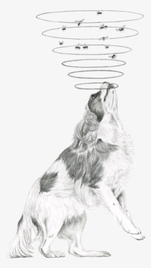 Clara Lacy - Moscow Watchdog #804669