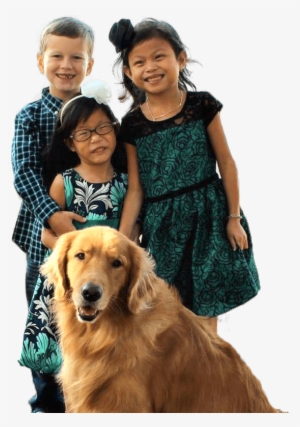 Improving Their Lives - Companion Dog #804693