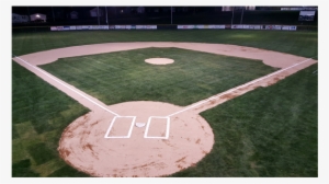 New Infield Sod - Sod #806003