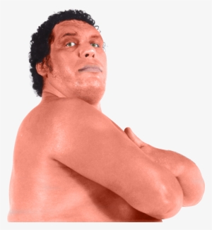 Andre The Giant #806778