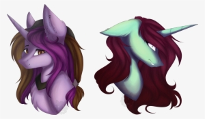 Crazllana, Art Trade, Bust, Chest Fluff, Crazy Face, - Queen's Blade #807096