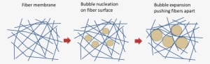 Post-electrospinning Expansion Of 2d Membrane To 3d - Diagram #807125