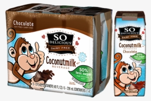 Chocolate Milk Single-serve 6pk - So Delicious Chocolate Coconut Milk #808429