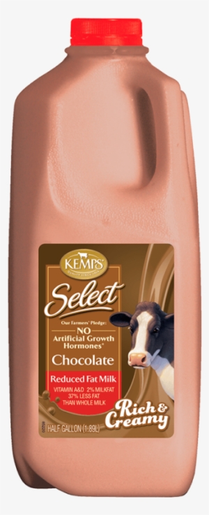 Chocolate Reduced Fat Select Milk - Kemps Ice Cream #808642