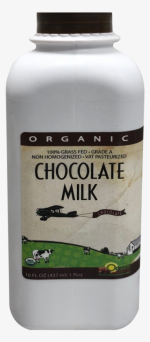 Organic Grass Fed Chocolate Milk - Organic Food #809151