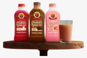 The Jersey - Promised Land Milk #809420