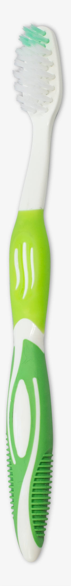 Platinum Edition Toothbrush - Tooth #809538