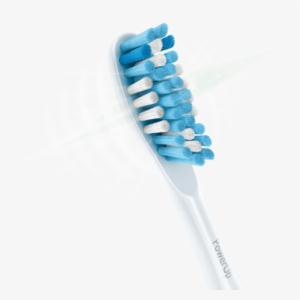 Toothbrush Head Png #809560