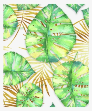 Palm Fronds - Swiss Cheese Plant #809712