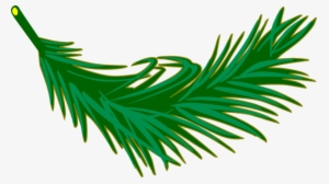 Palm Trees Palm Branch Palm-leaf Manuscript Frond - Palm Leafclipart #809716