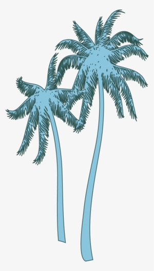 Coconut Tree #809736 Coconut Tree #809736