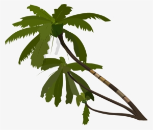 Vector Palm Trees Clip Art - Palm Tree Transparent Clipart #809908