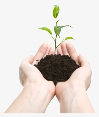 Mission And Values - Conservation Energy Day #8001317