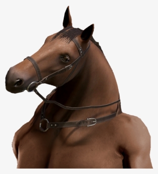 Png - Sorrel #8001599