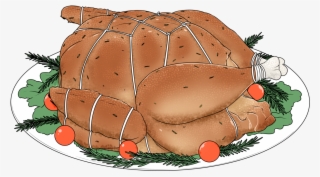 Turkey Ended Up In Bondage - Tortoise #8002732