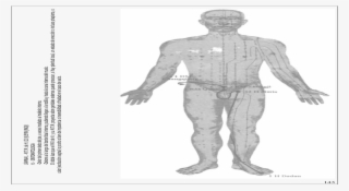 Man #8003701 Man #8003701