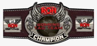 Anyway, If Anyone With More Knowledge Than Me Feels - Greydog Software Belts #8003743