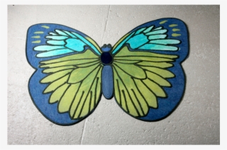 8995 1314044373 Primary V=1538947575 - Common Blue #8003818