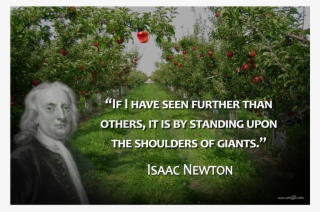 Issac Newton - Lq046 - Poster #8003850