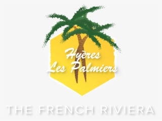 Stem Center Usa - Palm Tree #8004829