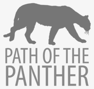 Confirm That You Like This - Grizzly Bear #8004926