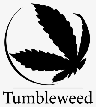 Tumbleweedgrind - Hollywood Institute Of Beauty Careers Logo #8005446