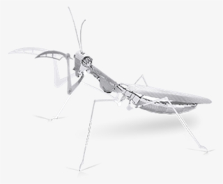 Metal Earth Online Store - Praying Mantis Claw Transparent #8005744