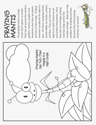 Praying Mantis Fact And Coloring Page - Cleaning House #8005782