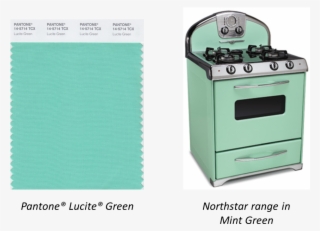 Pantone & Elmira Merge - Retro Oven #8006134