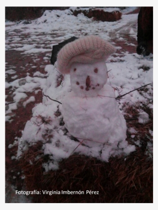 Un Nuevo Y Efímero Astrónomo Aficionado, Deseamos Que - Snow #8006168