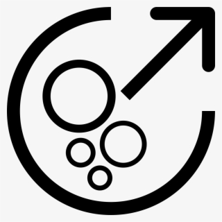 Png File Svg - Circle #8007535