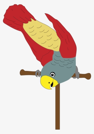 Parrot On Perch - Perch Clipart #8008735